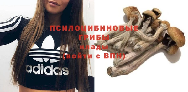 экстази Абаза