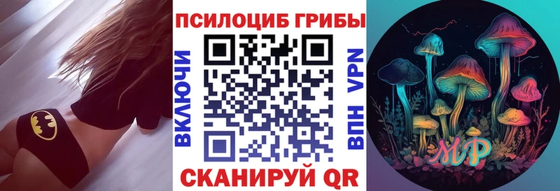 Псилоцибиновые грибы мицелий  Каргополь 